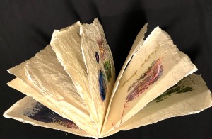 "Nuovi Orditi" - Libro d'artista -D.I.Vallini
