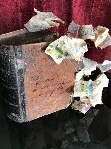 Diario di una cacciatrice di farfalle - Diana Isa Vallini 2018